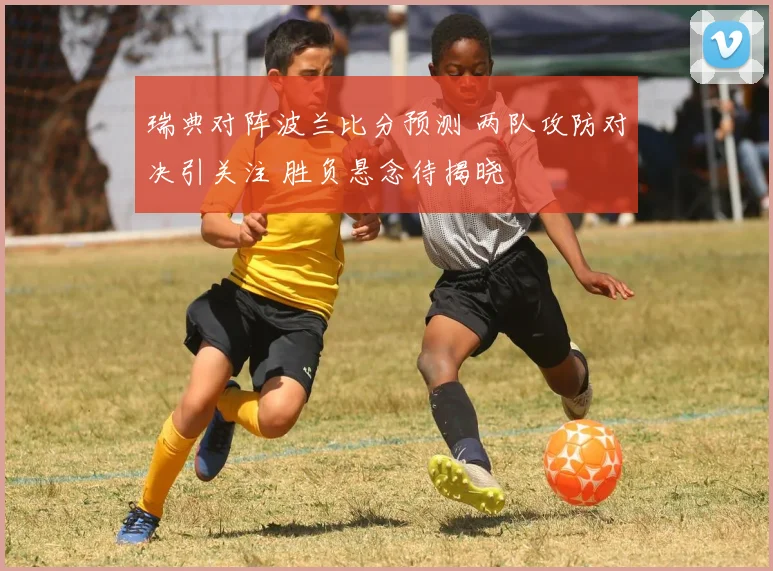 瑞典对阵波兰比分预测 两队攻防对决引关注 胜负悬念待揭晓