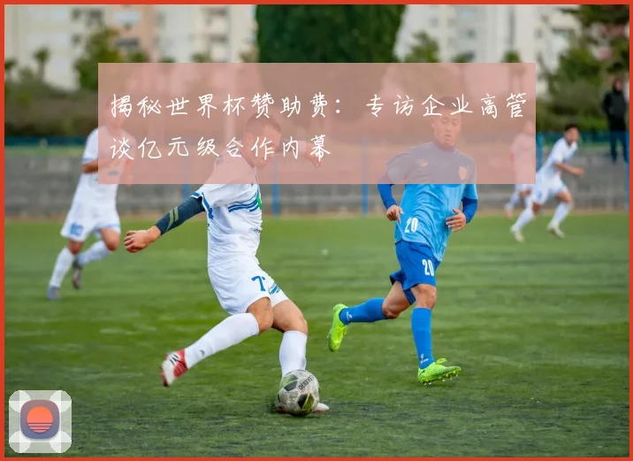 揭秘世界杯赞助费:专访企业高管谈亿元级合作内幕