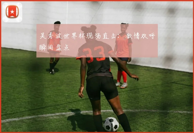 吴秀波世界杯现场直击:激情欢呼瞬间盘点