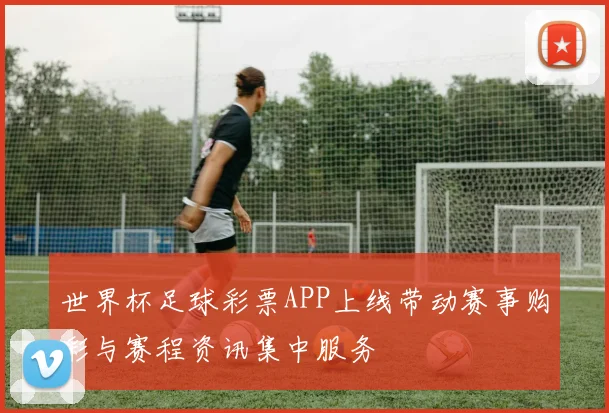 世界杯足球彩票APP上线带动赛事购彩与赛程资讯集中服务