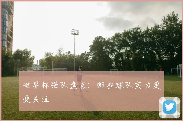 世界杯强队盘点：哪些球队实力更受关注