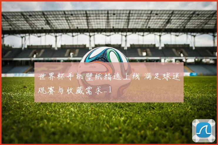 世界杯手机壁纸精选上线 满足球迷观赛与收藏需求_1